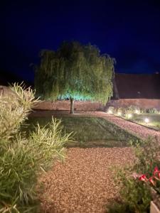 Sejours chez l'habitant Domaine de La Vove : photos des chambres