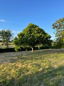 Sejours chez l'habitant Domaine de La Vove : photos des chambres