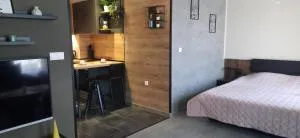 Top Studio Vinica - Vinitsa