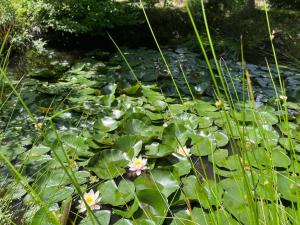 Őrségi Mi Kis Házunk vendégház