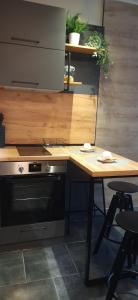 Top Studio Vinica