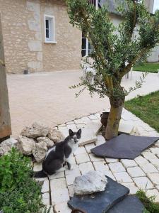 Maisons de vacances Gite de l'Ardoise : photos des chambres