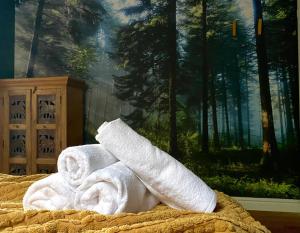 Dom w lesie - Schodno13