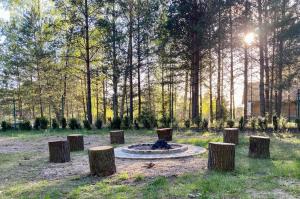 Dom w lesie - Schodno13