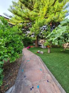 L'Antica Cantina img50