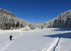 B&B / Chambres d'hotes Gite La Resilience, sur la piste de ski d'Autrans : photos des chambres