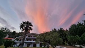 Katerinas Garden Mola Kaliva