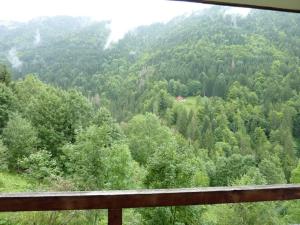 Studio 28m² avec piscine, balcon, parking - St-Jean-dAulps - FR-1-573-88