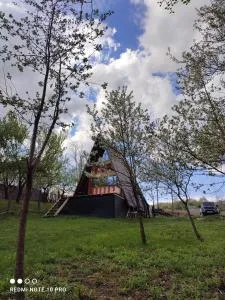 CabanuțA Young Valley - Tismana