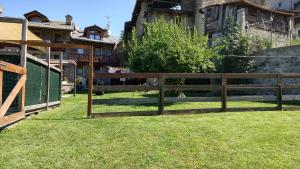 Dialley prato Cir0014