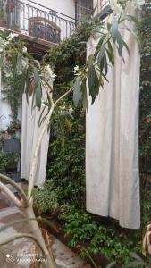 Apartamento con terraza