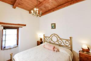 Agriturismo Castello delle Fornaci - Private Summer Jacuzzi