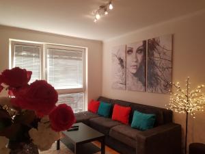 Rajiceva 5- apartman sa prostranom terasom i garaznim mestom