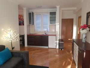 Rajiceva 5- apartman sa prostranom terasom i garaznim mestom