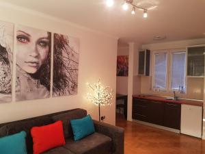 Rajiceva 5- apartman sa prostranom terasom i garaznim mestom