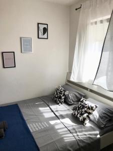 Studio Apartman Bruna-Liznjan, Medulin
