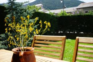 Appartements Apartamento con jardin en la Cerdanya : photos des chambres