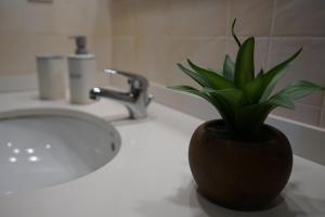 Appartements Apartamento con jardin en la Cerdanya : photos des chambres
