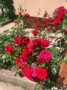 Apartmani Bambi Sokobanja