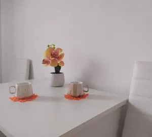 Apartman LEO - Bečej