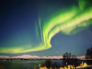 Apartment on Whaleisland - Nygård