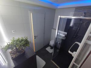 Apartment Ivanka & Old town View