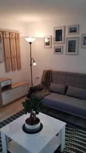 Koradinovi - Pod vrtom 