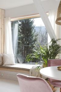 Drewniana Róża Pokoje i Apartamenty
