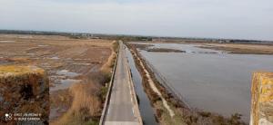 Maisons de vacances Appartement neuf et moderne au coeur de la Camargue : photos des chambres