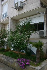 Next door apartment Maro & Ivan