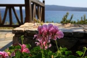 Casa Kalypso Alonissos Greece