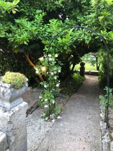 Maisons d'hotes La Guinguette de Michaux : Suite