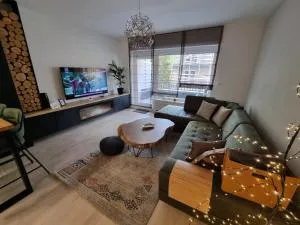 Mountain Wings Bjelasnica Apartment - 科尼茨