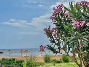Lightness Suites by the Sea