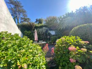 Maisons de vacances « Le jardin de Mimi »Maison : photos des chambres