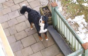 Amazing Apartment In Oberaudorf