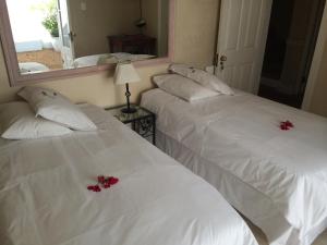 Cheviot Place Guest House