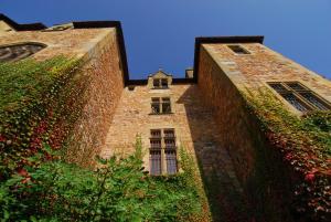 B&B / Chambres d'hotes Chateau de Peufeilhoux : photos des chambres