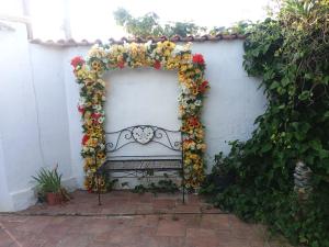 Casa vacanze l'ulivo img18