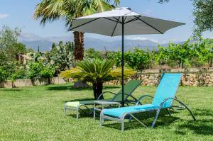 YourHouse Can Covetes, villa with private pool and garden, perfect for families