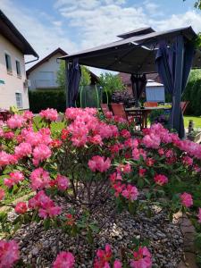 Studio apartma Žirovnik 