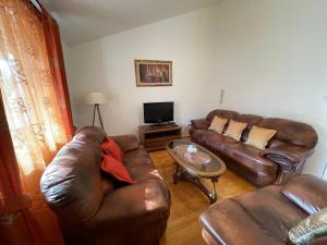 Aquarium Apartment Kotor