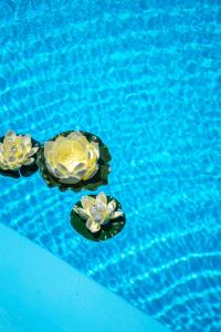 RODI BLUE apartments