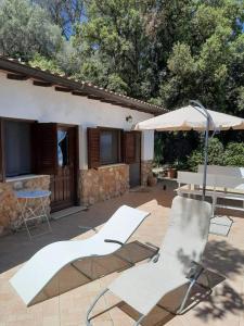 Affitti Brevi Toscana - La Terrazza sulla Spiaggia