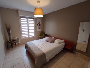 Appartements Appartement CALME PROCHE TOULOUSE : photos des chambres