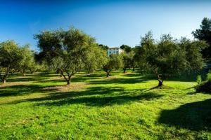 B&B / Chambres d'hotes Chateau les Gardis : photos des chambres