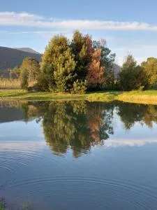 20 Good Summers Farm Stay - Die Barakke