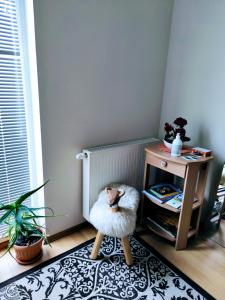 Central 3 bedroom apartment in Kuressaare