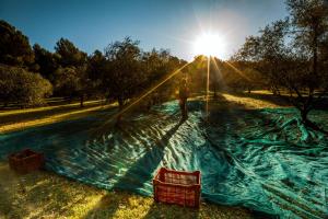 B&B / Chambres d'hotes Chateau les Gardis : photos des chambres