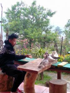 Hmong Cổ Trấn Sapa Homestay & Restaurant